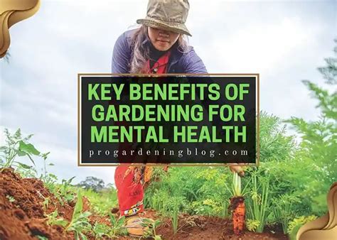 Key Benefits Of Gardening For Mental Health Pro Gardening Blog