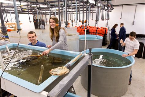 Une Ranked Among Top Colleges And Universities For Marine Science By
