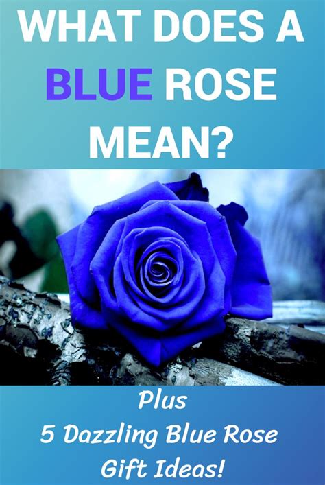 This rose is not available in nature but a white rose may be dyed to achieve the desired color. What Does A Blue Rose Mean? in 2020 | Blue rose meaning ...