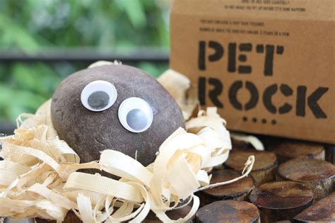 Pet Rock Best Just Like That Ts Online In India