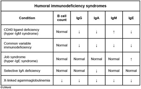 Humoral Immunodef Syndromes Chart From U World Rmedicalschoolanki