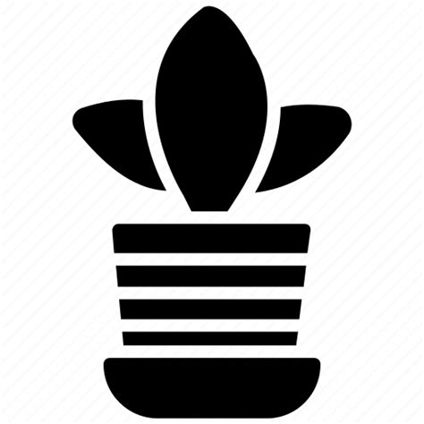 House plant, indoor plant, leafy plant, plant pot, pot plant icon