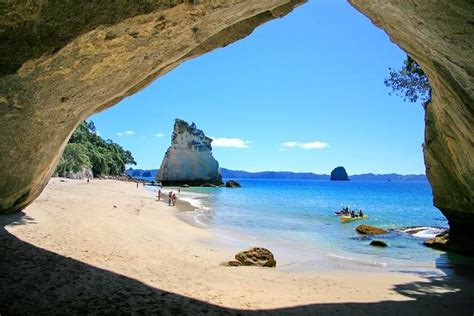 2023 Full Day Coromandel Tour From Auckland