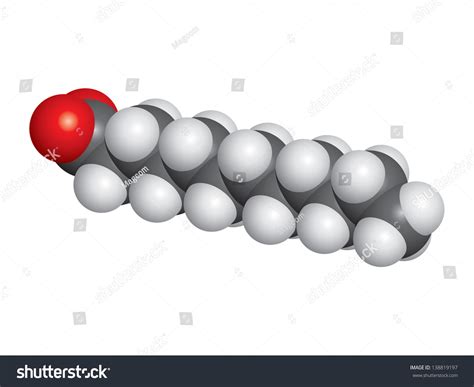Lauric Acid Coconut Oil Molecule Ball Stock Vector Royalty Free