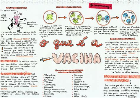 Mapa Mental Revolta Da Vacina