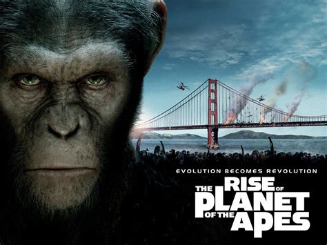 Strictly Wallpaper Rise Of The Planet Of The Apes Movie