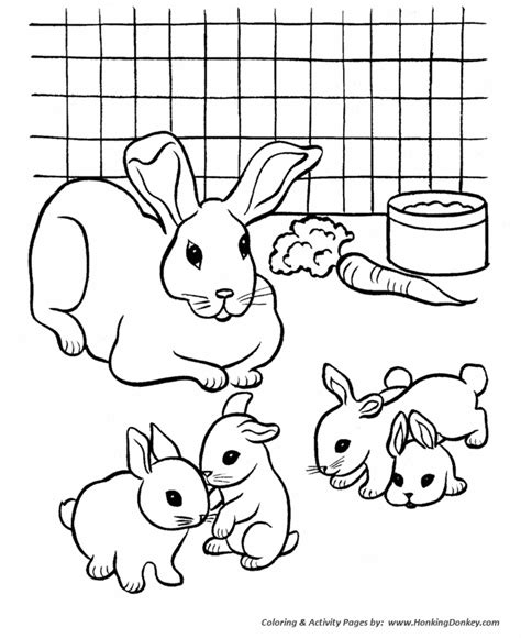Pets Coloring Pages | Free Printable Rabbits in a cage eating carrots