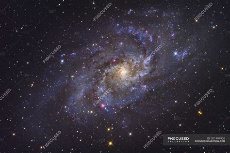 Triangulum Galaxy Ngc 598 In Constellation Triangulum — Stars
