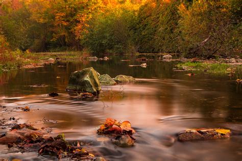 Bot — Autumn Creek Sinan Solmaz