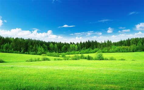 Green Meadows Nature Hd Desktop Wallpapers 4k Hd