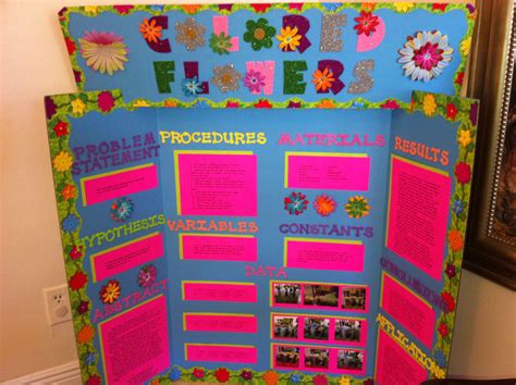 Science Fair 2010colored Flowers Flowers Science Project Science