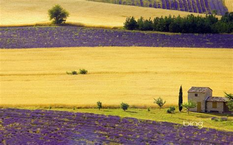 Provence Wallpapers Wallpaper Cave