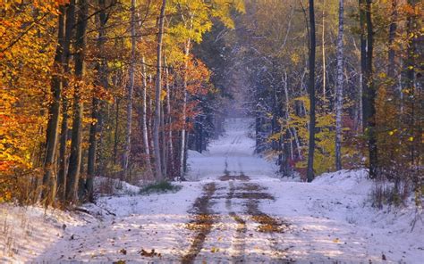 Fall Snowy Wallpaper Wallpapersafari