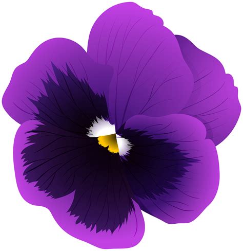 clipart violets flowers 10 free Cliparts | Download images on png image