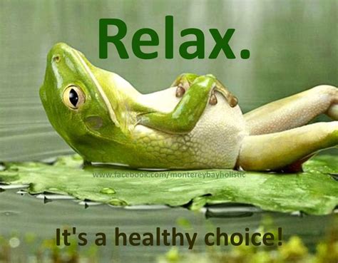 Love It Relaxing Pictures Funny Animal Pictures Relax
