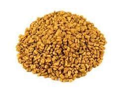 This result suggests a potential role for fenugreek in improving in a clinical trial, type i diabetics who consumed fenugreek seeds in their diets had lower total cholesterol, triglycerides, and ldl cholesterol than. Fenugreek Seeds, Fenugreek Seed, Kasuri Methi Seed, मेथी ...