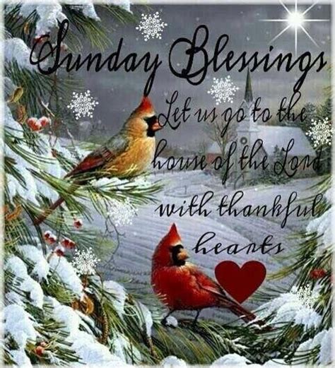 Blessings Happy Sunday Quotes Blessed Quotes Blessed Sunday