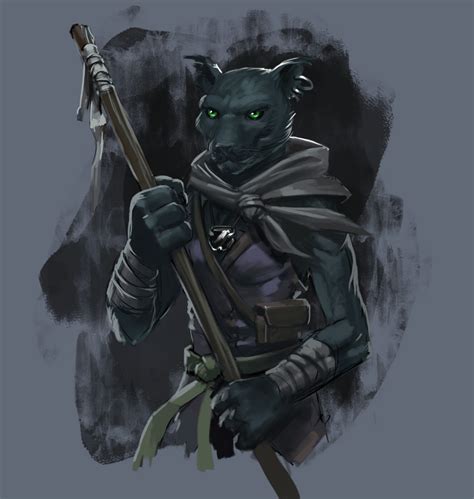 Artstation Tabaxi Monk Dnd Tefra Lizzo Art Monk Dnd Dungeons And