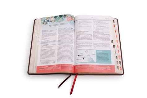 The Csb Study Bible For Women Bandh Publishing