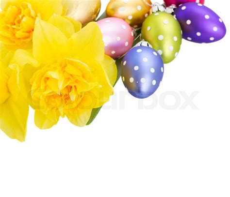 Daffodil Flowers And Easter Eggs Stock Image Colourbox