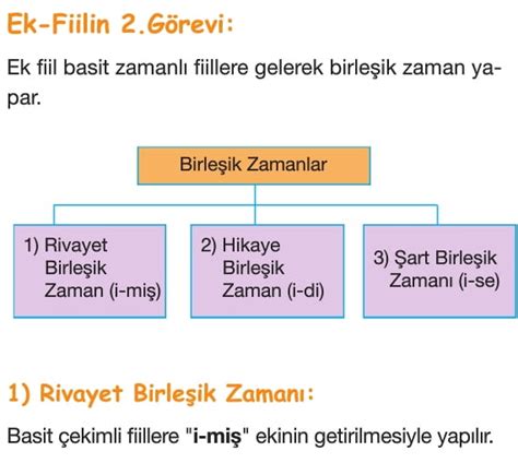 Fiiller (Eylemler) Türkçe 7.Sınıf Konu Anlatımı Örnekler