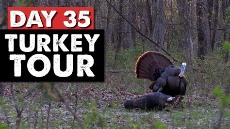 Missouri Gobbler Hunt Clean And Cook Turkey Tour Day 35 Youtube