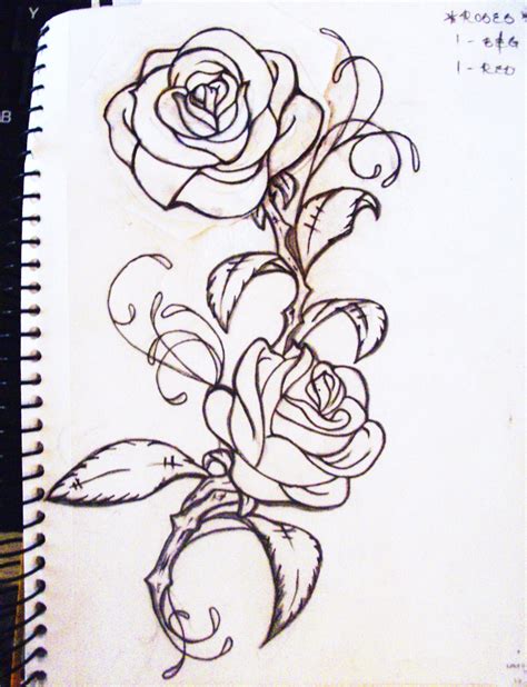 Rose With Vines Drawing Bestvanlifevan