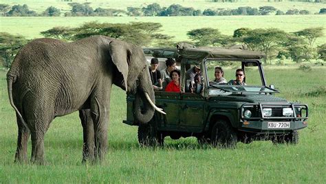 Safari Experts Luxury Exclusive Safaris And Journeys Worldwide