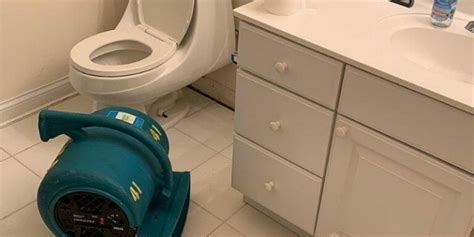 Toilet Overflowing Heres What To Do Right Now Ok Cleaners