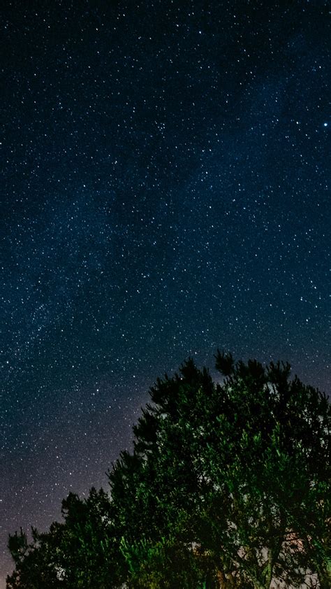 Starry Night Backgrounds 67 Images