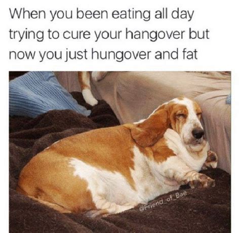 30 Hangover Memes That Are Way Too True Funny Dog