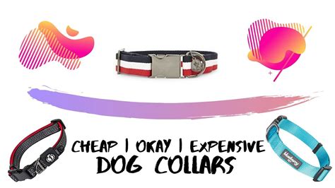 Cheap Okay Expensive Dog Collars Youtube