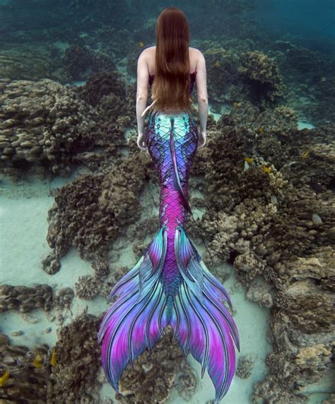 Pin By Giulia Leviani Made By Lula On Mermaid Mermaid Photography