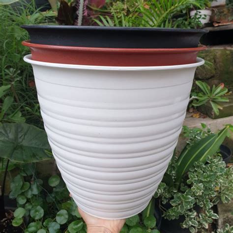 Jual Pot Tawon Pirus Pot Bunga Model Tawon Pirus Tirus Tinggi