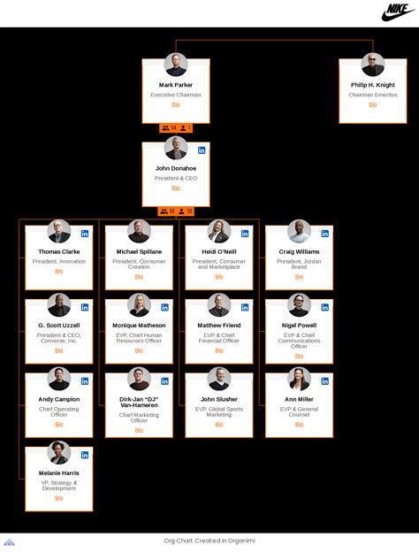 Nikes Organizational Structure Interactive Chart Organimi
