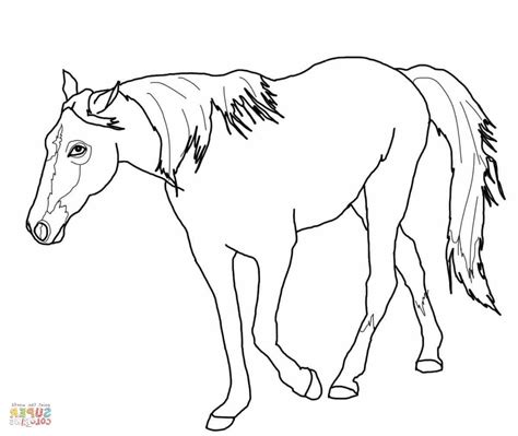 The predominant quarter horse colors are reported to be sorrel and chestnut (according to their frequency among registered horses). Quarter Horse Coloring Pages at GetColorings.com | Free ...