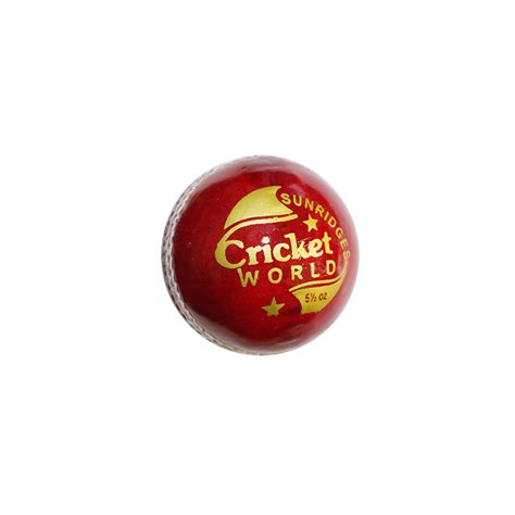 Buy Ss Cr World 4 Pcs Online At Best Price Ss Cricket
