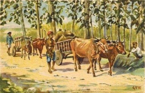 Petani di kawali, kabupaten ciamis masih mempertahankan cara tradisional membajak sawah, yakni dengan memanfaatkan tenaga kerbau. 35+ Ide Gambar Sketsa Kerbau Di Sawah - Tea And Lead