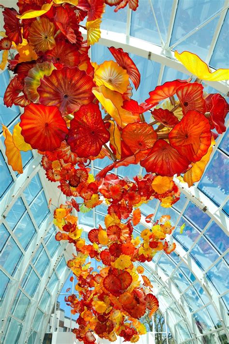 Dale Chihuly Conservatory Enthusiast Tanglewood Conservatories Ltd