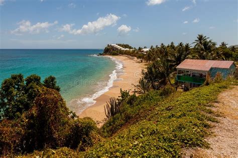 Sunny Tropical Caribbean Beach Landscape Stock Image - Image of blue ...