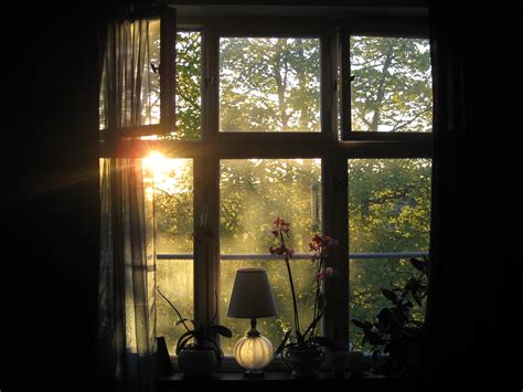 Wallpaper Sunlight Trees Leaves Window Sunset Flowers Reflection Wood House Morning