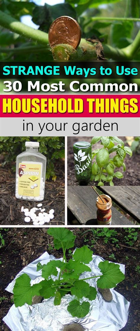 Strange Ways To Use 30 Most Common Household Things In Your Garden