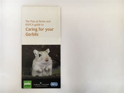 Pets At Home Rspca Leaflet Issue Welfare Advice