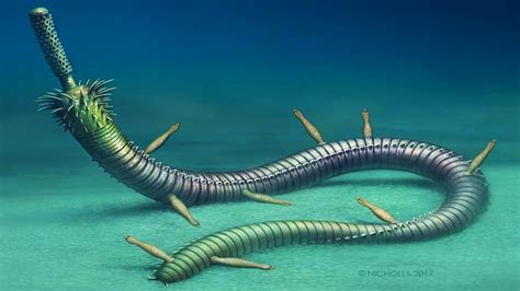 Prehistoric Parasitic Worms From Half A Billion Years Ago Youtube