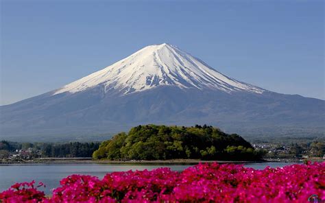 Snowy Peak Of Mount Fuji Trees Volcano Mountain Japan Snow