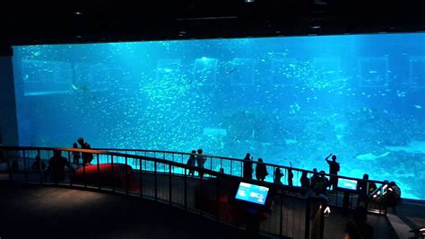 Sea Aquarium In Sentosa Island Singapore Youtube