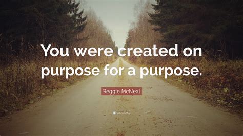 Reggie Mcneal Quote You Were Created On Purpose For A Purpose