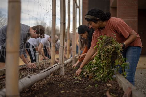 Ncbg Community Gardens Awarded Funds For Urban Agriculture North
