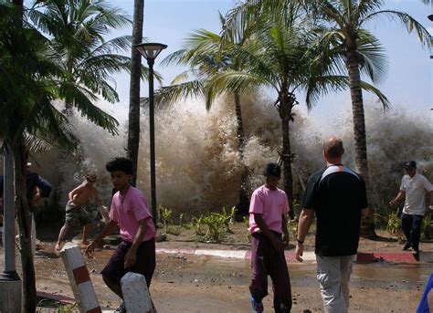Tsunami Images And Pictures Becuo