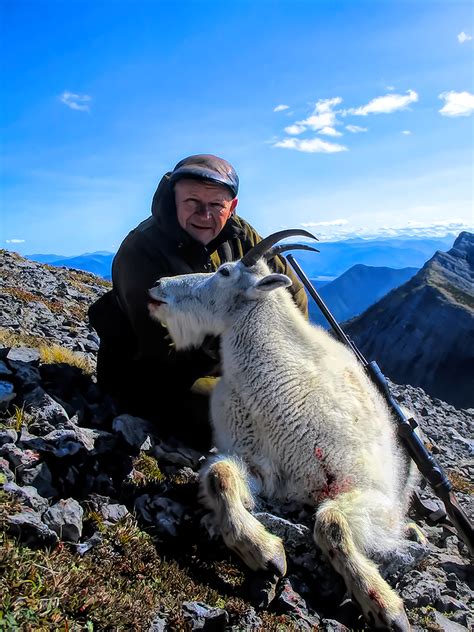 Canadian Mountain Goat Hunt Quality Hunts 1 Hunt Provider